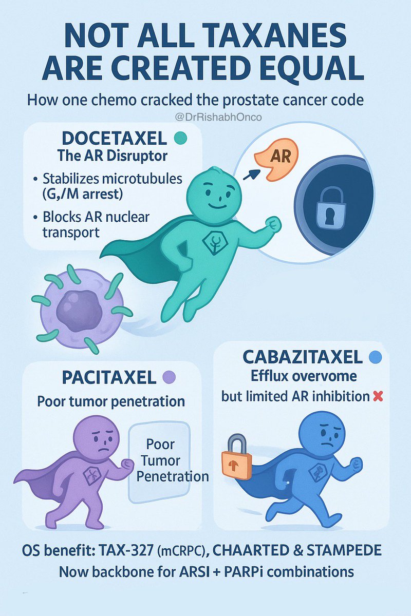 DrRishabhOnco's tweet photo. 🧬 Why Docetaxel Works in Prostate Cancer (and Others Don’t 😮)

Not all taxanes are born equal — one cracked the prostate code 🧩

💥 Docetaxel = The AR Disruptor
•Freezes microtubules → mitotic chaos (G₂/M arrest)
•Phosphorylates Bcl-2 → flips the “self-destruct” switch
🚫 Stops androgen receptor (AR) from entering the nucleus — and that’s its secret weapon!

⚖️ Paclitaxel vs Cabazitaxel: Why They Miss the Mark?

•Paclitaxel → can’t penetrate prostate tumor microenvironment effectively ❌

•Cabazitaxel → beats resistance pumps 💪 but doesn’t block AR trafficking as powerfully

👉 Only docetaxel truly starves the tumor of AR signaling

🧠 Proof in Trials
•mCRPC: OS ↑ in TAX-327
•mHSPC: OS ↑ in CHAARTED & STAMPEDE
•Now the backbone for ARSI + PARPi combos

💡 Takeaway:
Docetaxel isn’t just chemo - it’s a molecular double agent that shuts down both cell division and androgen signaling.

🔖 Save this gem for viva, boards & clinic rounds!
#OncoTwitter #ProstateCancer #MedTwitter @myESMO @esmo_open @OncoAlert @ASCO @Uromigos