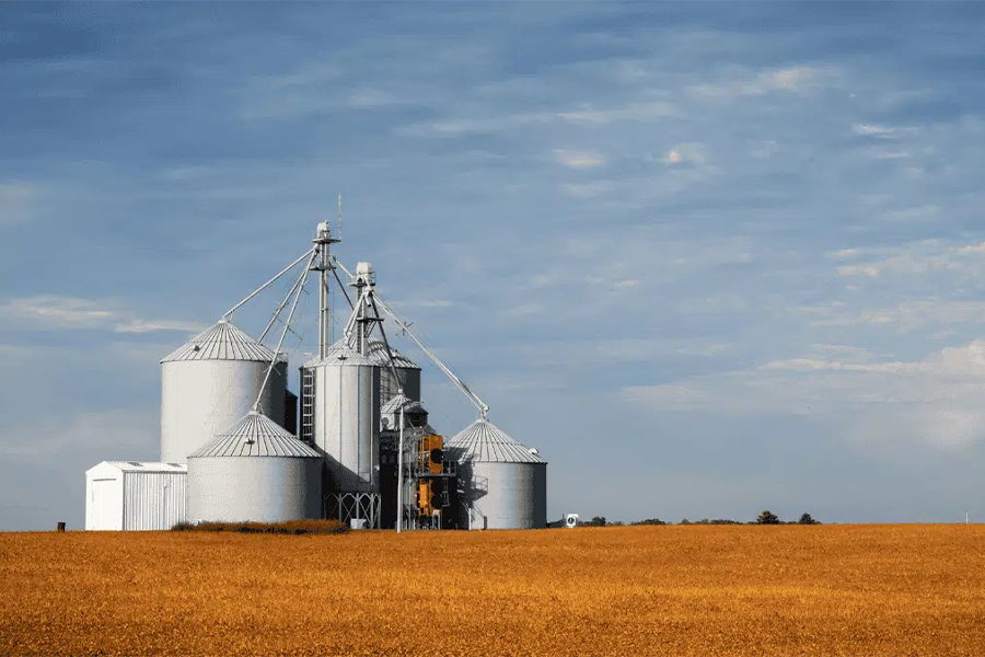 Bronson Consulting tweet media