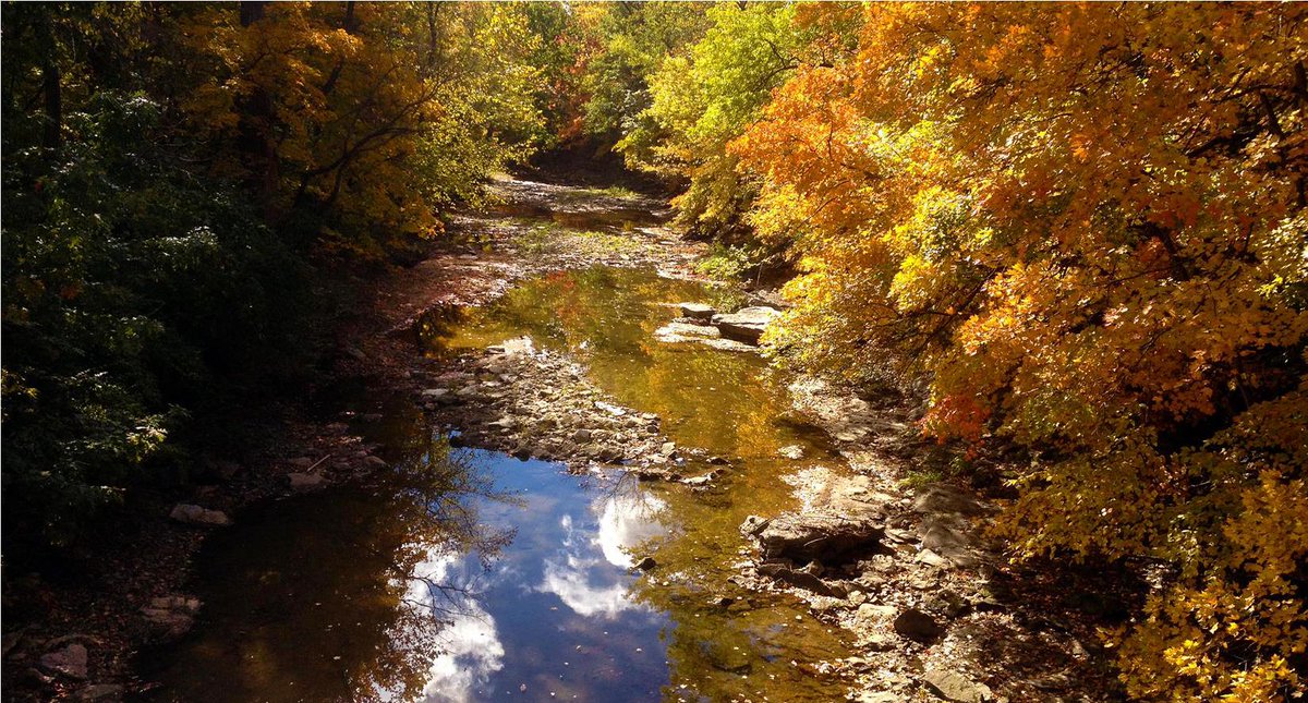 The presence and protection of natural resources are fundamental to the quality of life of the citizens of Columbia and every facet of the stormwater system must recognize this.
For more information, visit como.gov/utilities/stor…