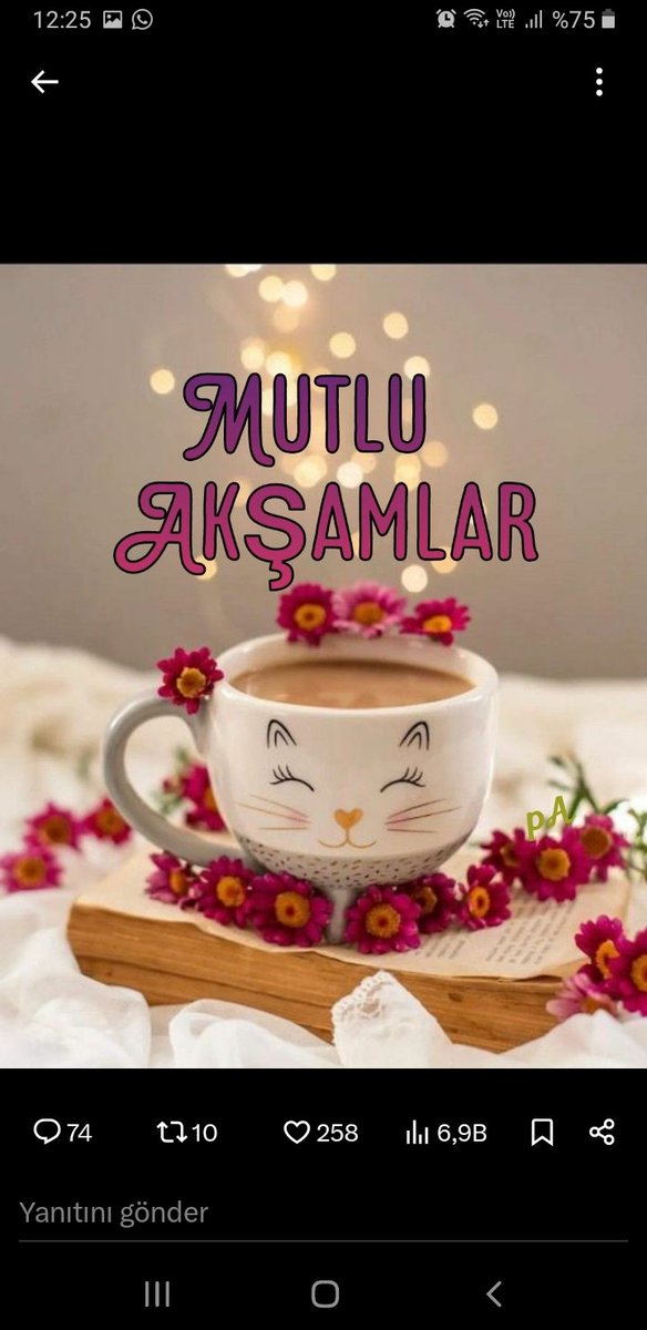 Sevgi vayhılar sunar hayırlı huzurlu mutlu Akşamlar dilerim arkadaşlar