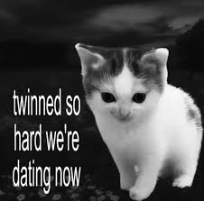 Moritz.sol tweet media