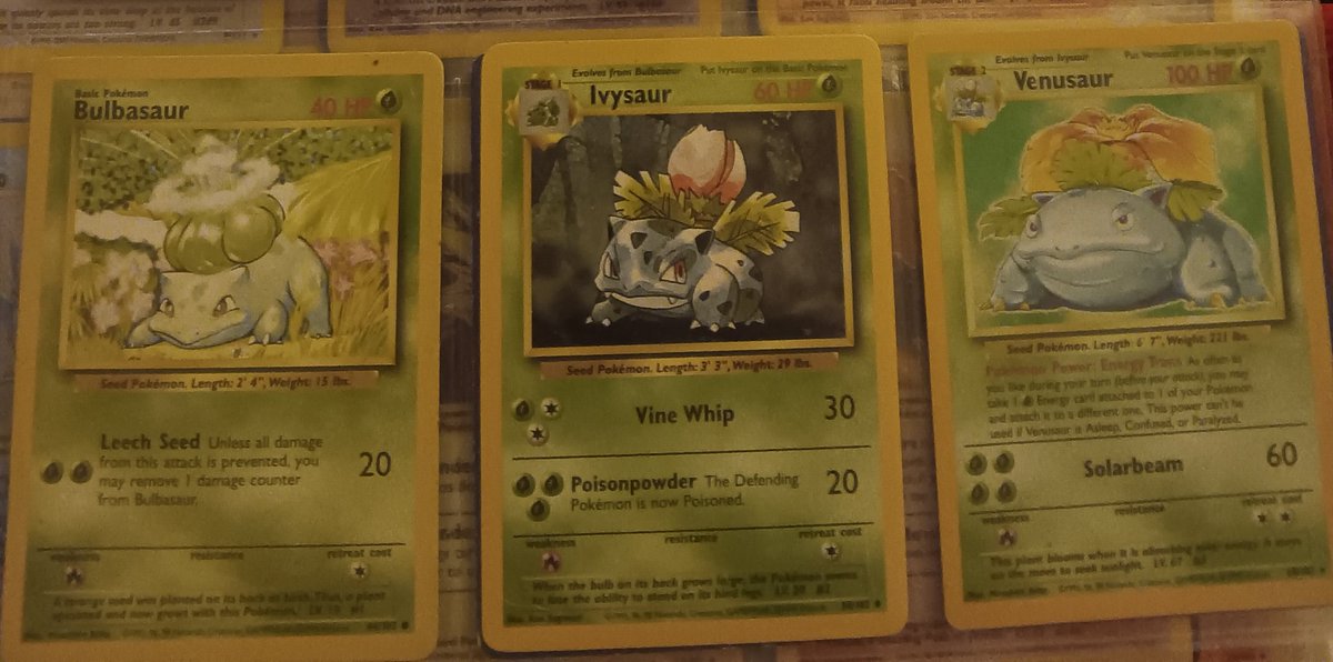 tybro1999's tweet photo. @Vinny Probably my favorite items in my collection, I also have Shining and Dark Charizard which I like as well, but Venusaur looks so adorable on this card. When I have money to get cards graded, Venu will be the first. https://t.co/yJMlR51HFF