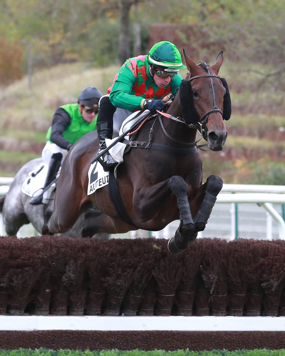 🍁Autumn Sale to offer lots to dissolve partnership between Simon Munir &amp; Isaac Souede and Haras de Saint Voir.

🗞️Read the press release ➡️ bit.ly/3XgByNT
💻Online catalogue ➡️ bit.ly/4oVPTei

📸LE NEZ CREUX, lot 398, ©scoopdyga
