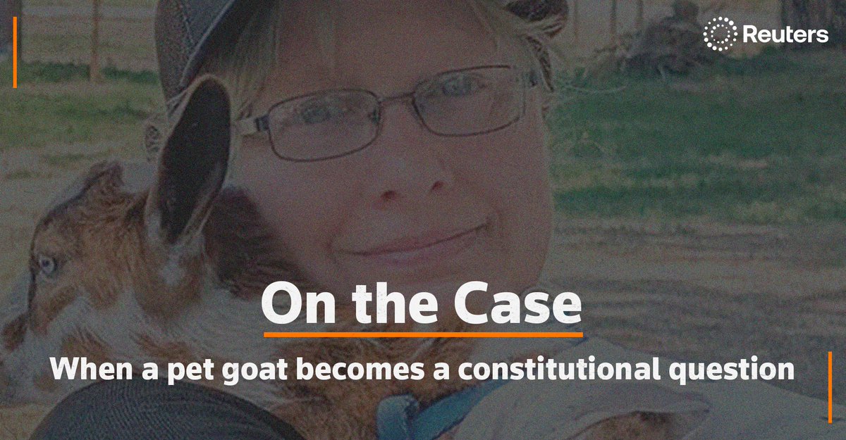 Column: When a pet goat becomes a constitutional question reut.rs/4i6XftD <a href="/JgreeneJenna/">Jenna Greene</a>