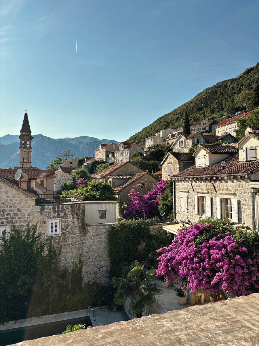 qalam writes (@qalam_writes) on Twitter photo 