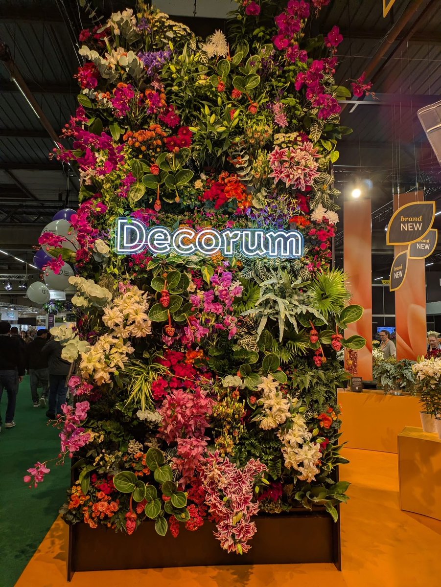 Callum Watson tweet media