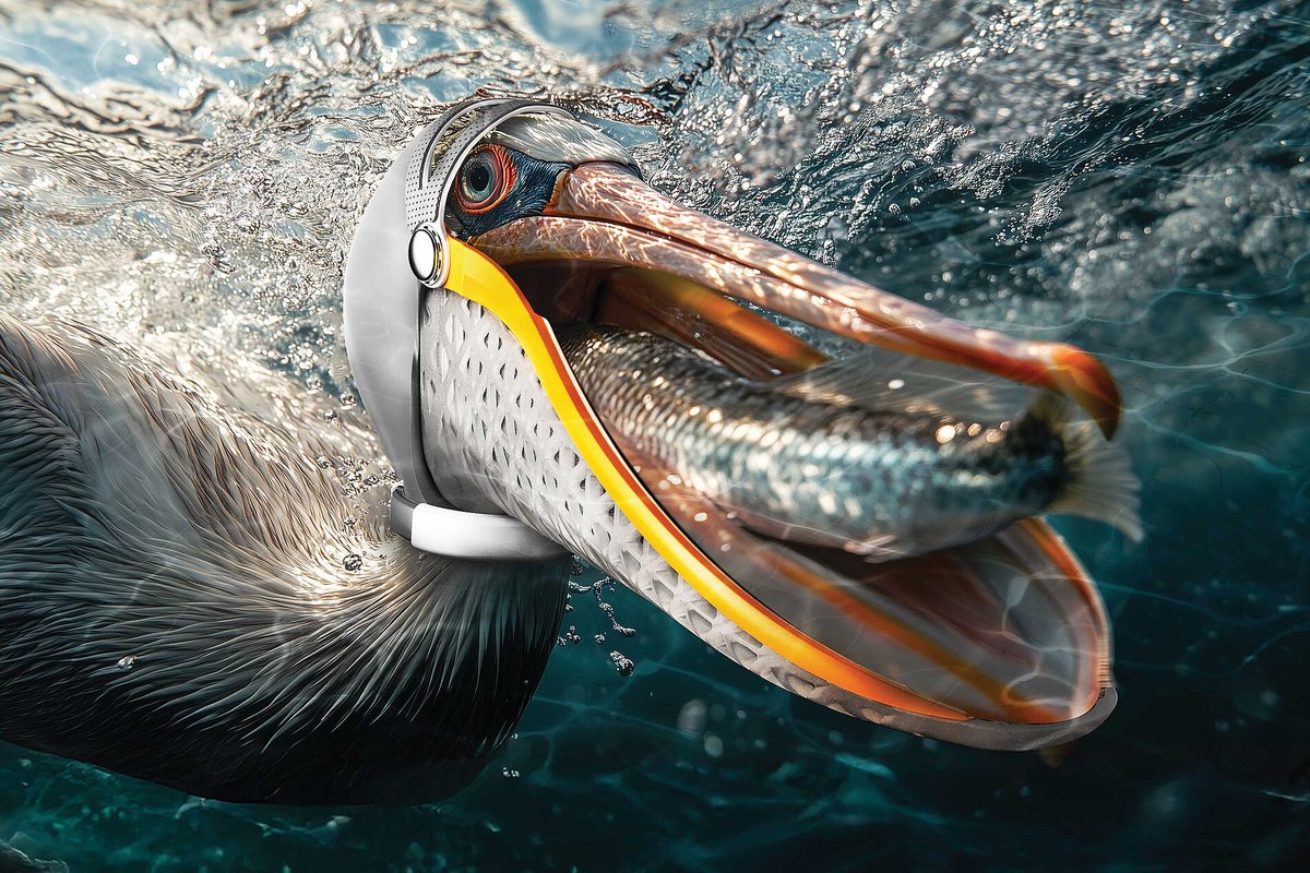 ModernExpressEN's tweet image. Students from Jiangsu University &amp;amp; Guangzhou Academy of Fine Arts won the Red Dot: Best of the Best 2025. Their design, Pelican Patch, is designed to help repair damaged gular pouches by combining a high-elasticity mesh structure with a small fixing head-mounted piece. #RedDot