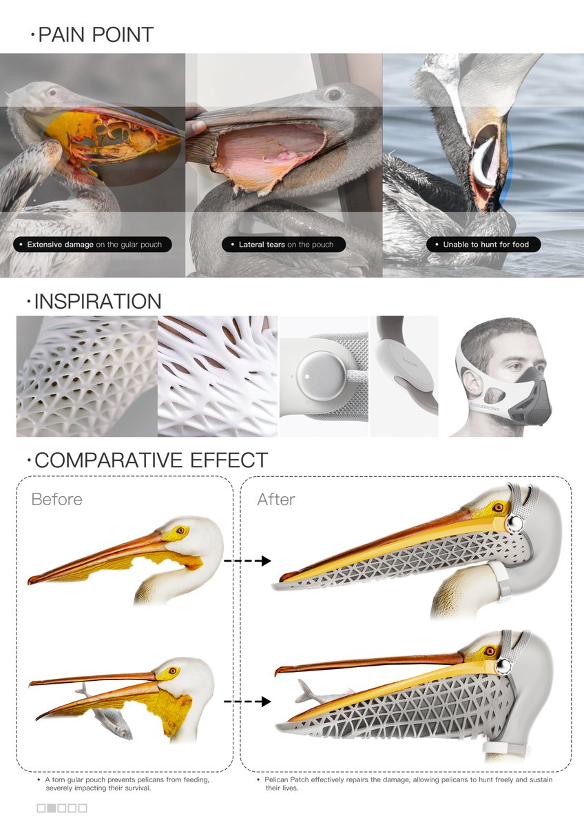 ModernExpressEN's tweet image. Students from Jiangsu University &amp;amp; Guangzhou Academy of Fine Arts won the Red Dot: Best of the Best 2025. Their design, Pelican Patch, is designed to help repair damaged gular pouches by combining a high-elasticity mesh structure with a small fixing head-mounted piece. #RedDot