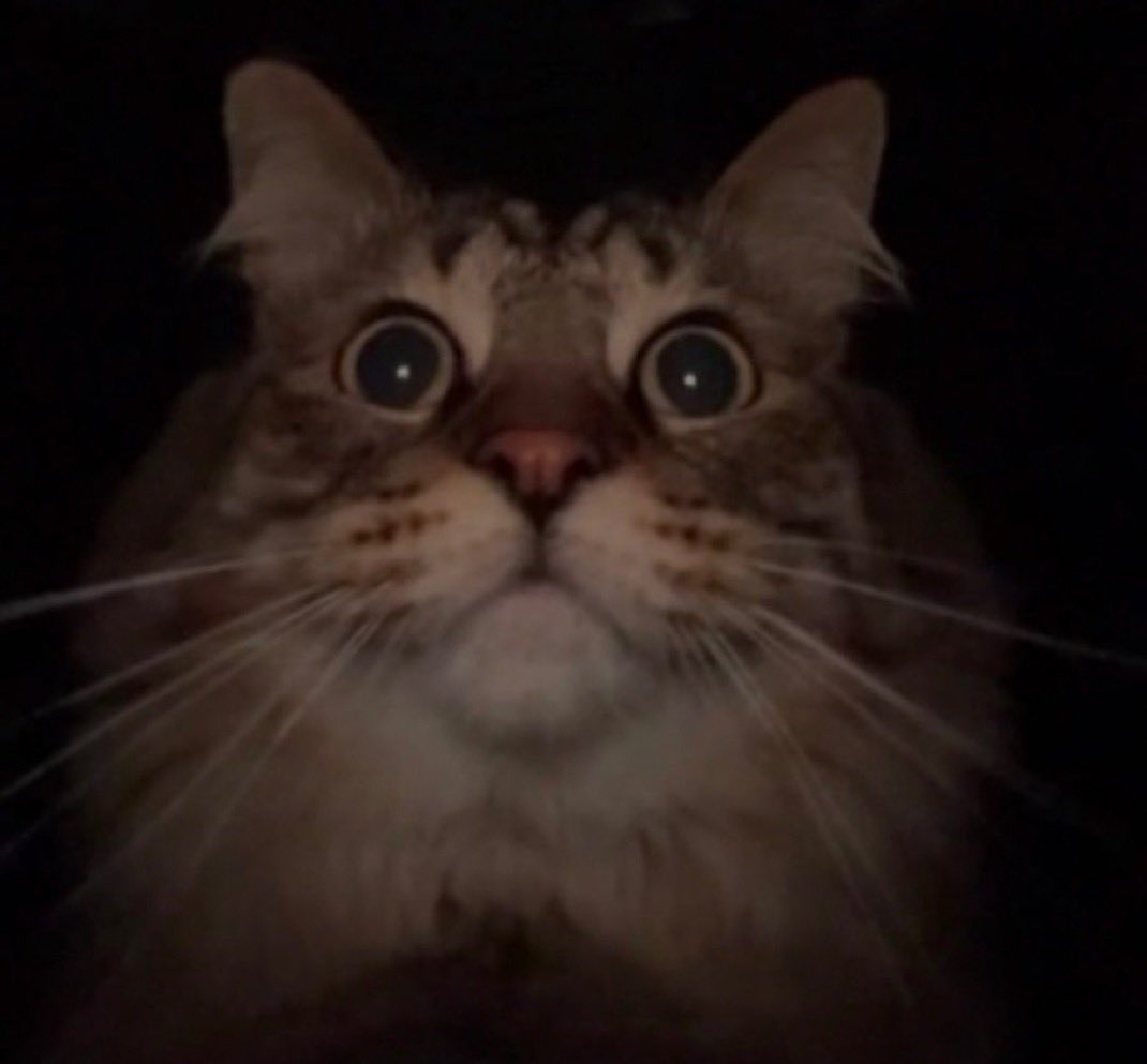 Good morning gang~💙

Guess who barely got any sleep last night😭😭😭