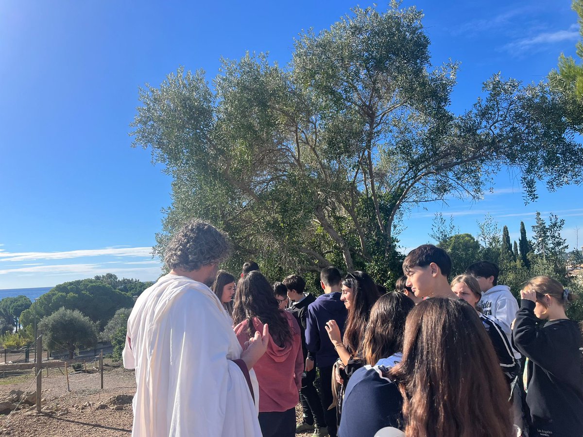 Institut Ramon de la Torre tweet media