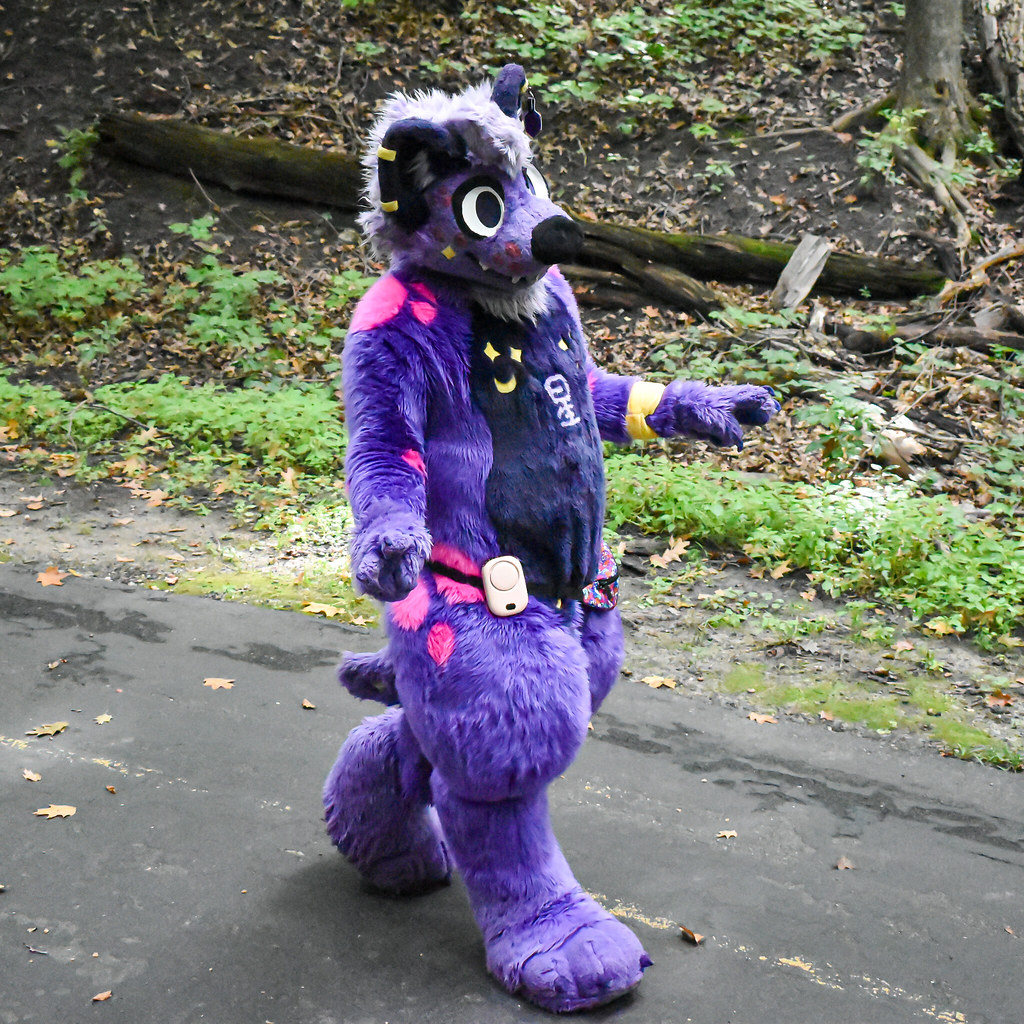 SPACE DINGUS IS PACKED AND ALMOST ON THE ROAD TO AQF AAAAAAAAA ✨✨✨✨✨