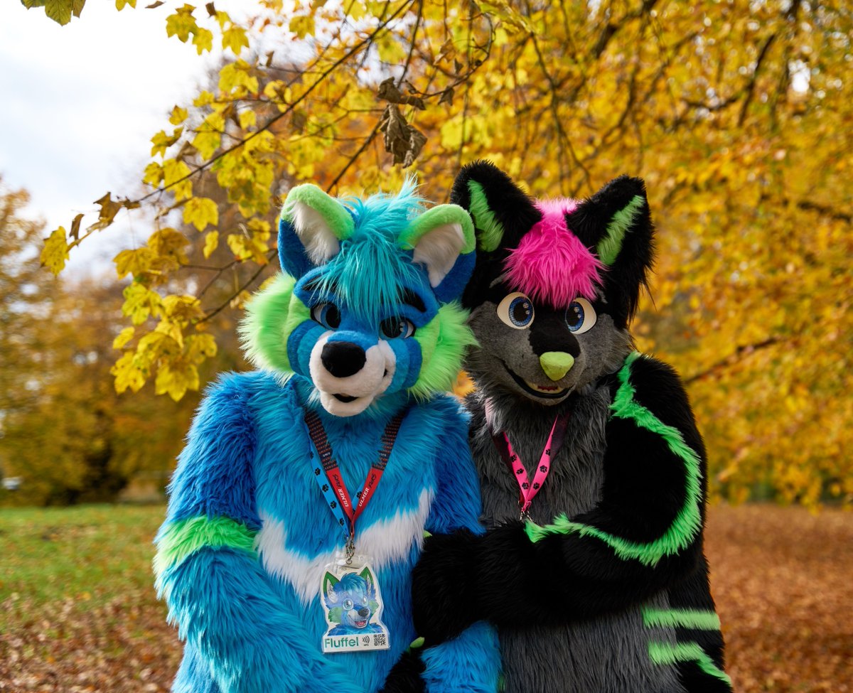 Fluffel_Wolf's tweet image. Me and @Reputon42 surrounded by the colors of autumn 🍂🐾 

📷 @coolbigandy

#FursuitFriday