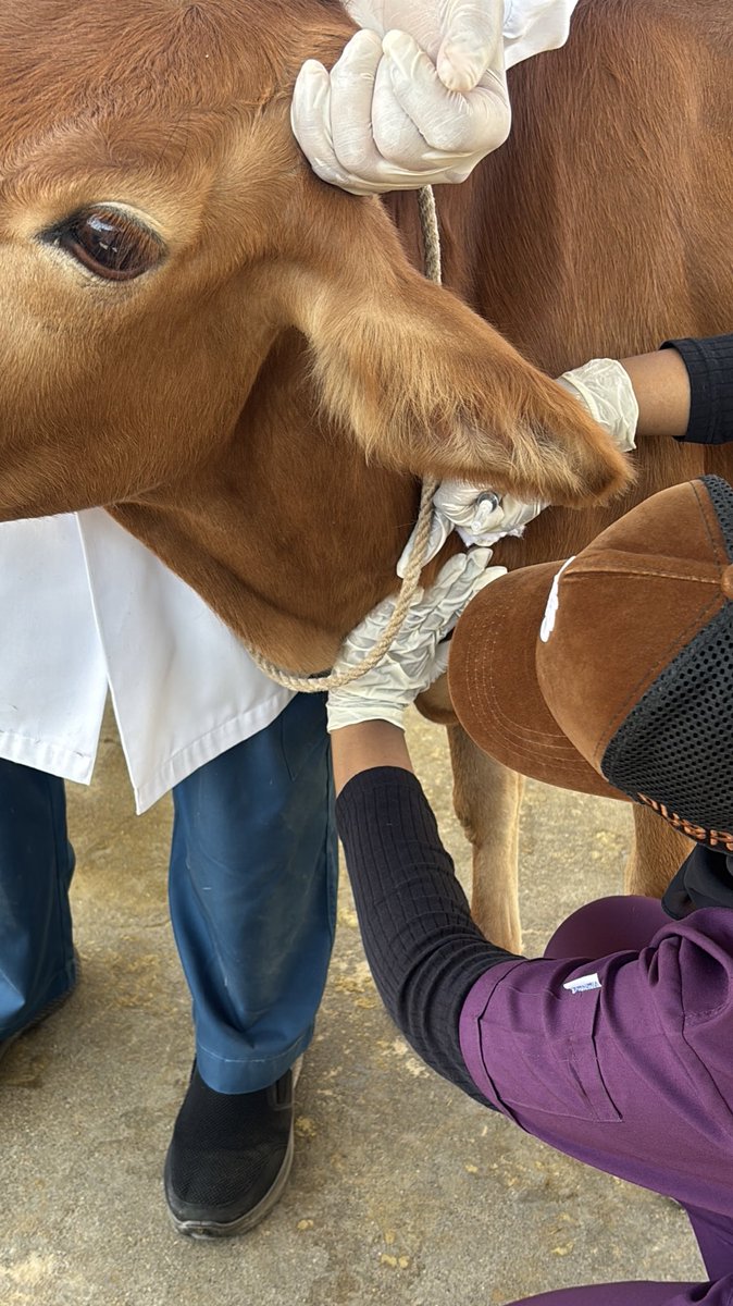 _wt73's tweet image. Weak 7 
بدون أي اضرار عدا😢