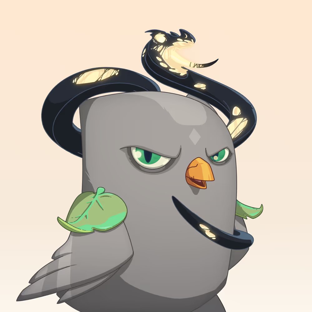 kotti_88 tweet media