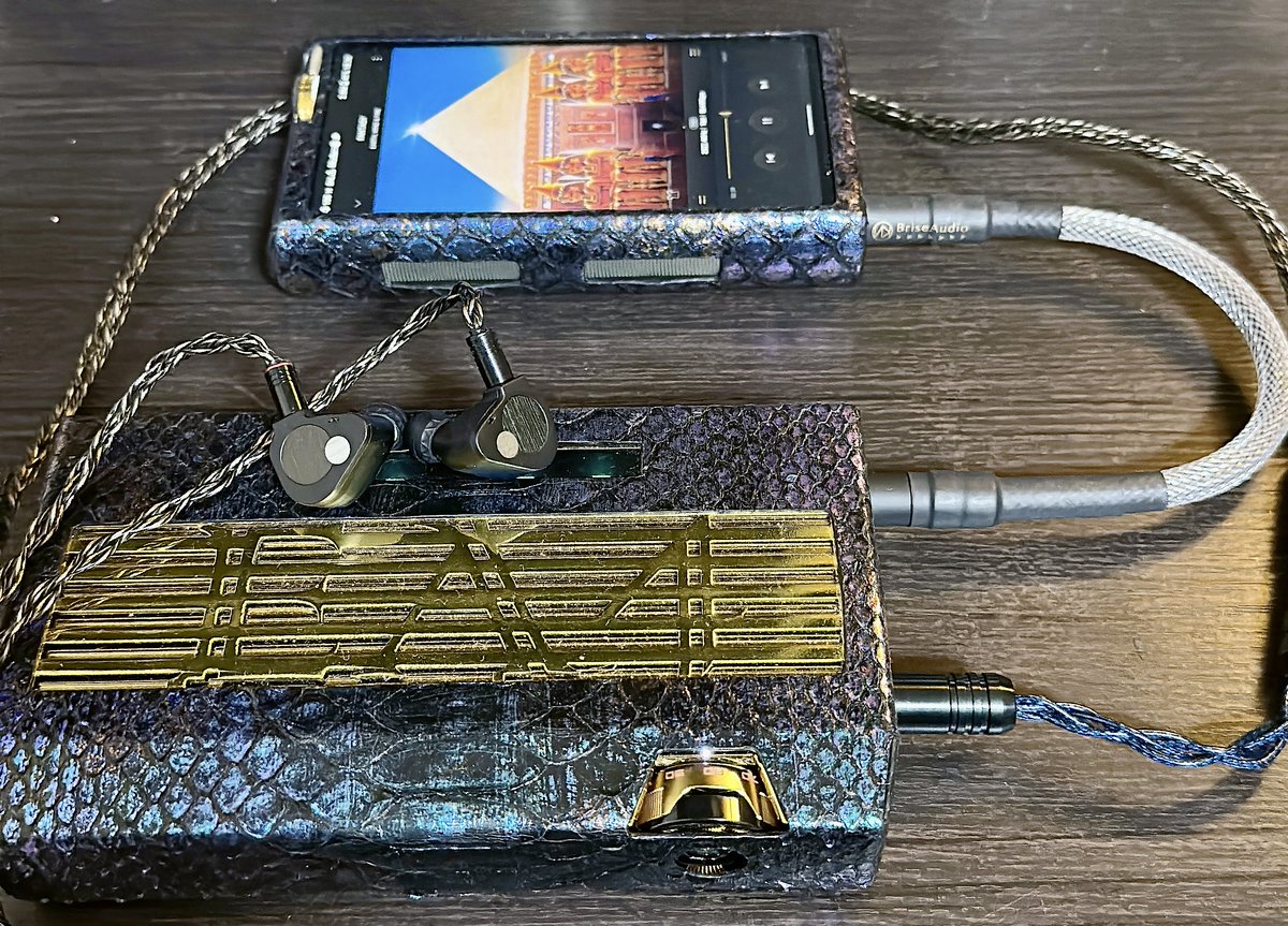 まめしば (@Mame_Shiba_PA) / Posts / X