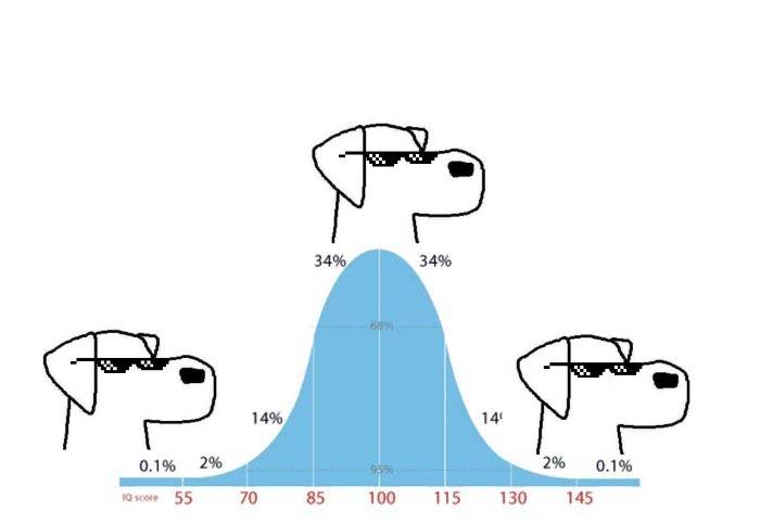 <a href="/wyloweb3/">wylo</a> Only one thing to hold until 2027: $dog 

x.com/i/communities/…

🐕 #dog