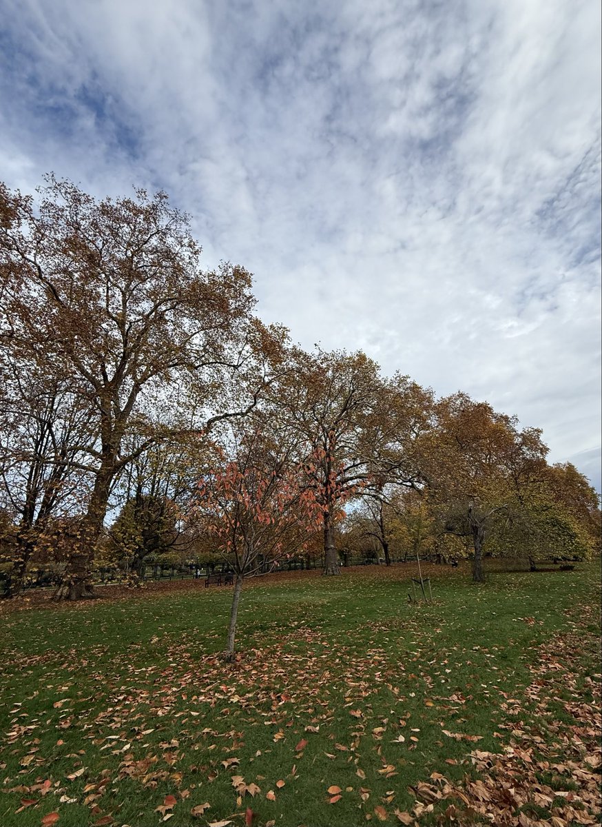 Have a great weekend and remember to take a walk