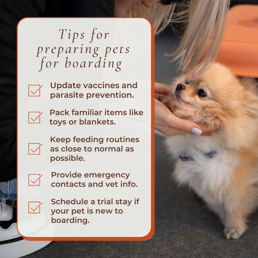 vetvillage's tweet image. Boarding can be a big change for pets, so preparation matters. Before their stay, be sure vaccines and parasite prevention are current, pack a few familiar items like a bed, blanket, or favorite toy.

#PetTips #VeterinaryVillageLomira #VetVillageLomira