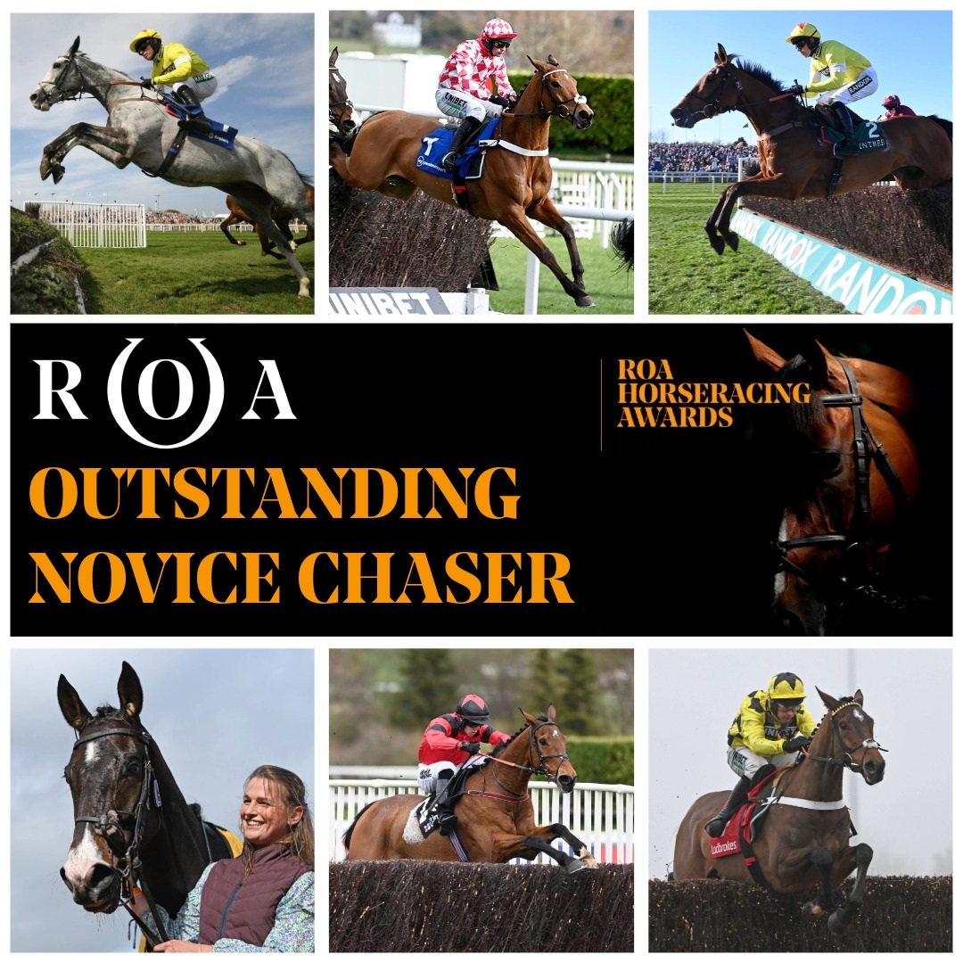 This afternoon we unveil further nominees &amp; categories for the 2025 ROA Horseracing Awards 💫

Nominees for Novice Chaser are: 
CALDWELL POTTER
JANGO BAIE 
KALIF DU BERLAIS
MAJBOROUGH
MYRETOWN
SIR GINO

Best of luck to all owners &amp; connections 🍀

🔗roa.co.uk/event/roa-awar…