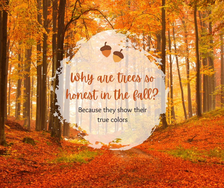 Iowa PWSB tweet media