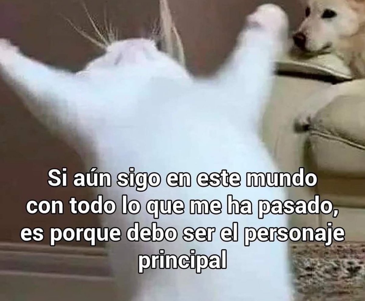 piña sin pizza (@skereunpesado) on Twitter photo 