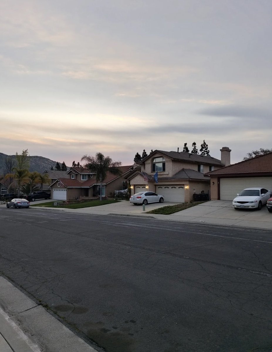 Danielle tweet media