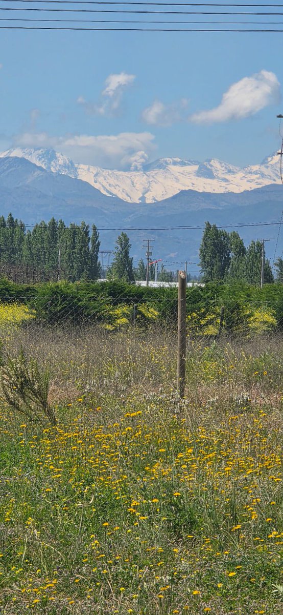 Continúan explosiones freáticas con emisiones de cenizas y gases en el Complejo Volcánico Planchón-Peteroa. 

En promedio las columnas se han elevado entre los 800 y 1000 metros con respecto al cráter y con dispersión hacia el sureste (SE) y sur-sureste (SSE) el día de hoy.

La
