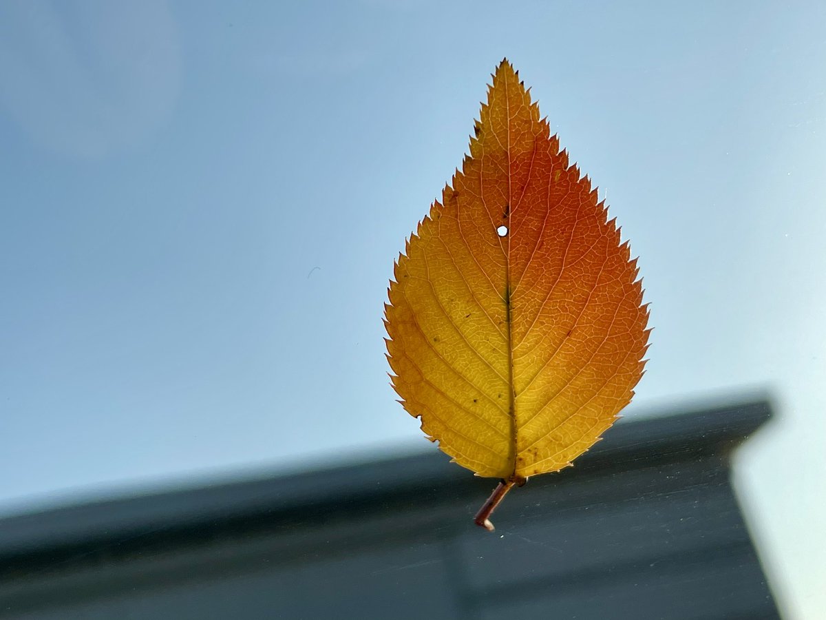 なっくんページ　③ なな on X