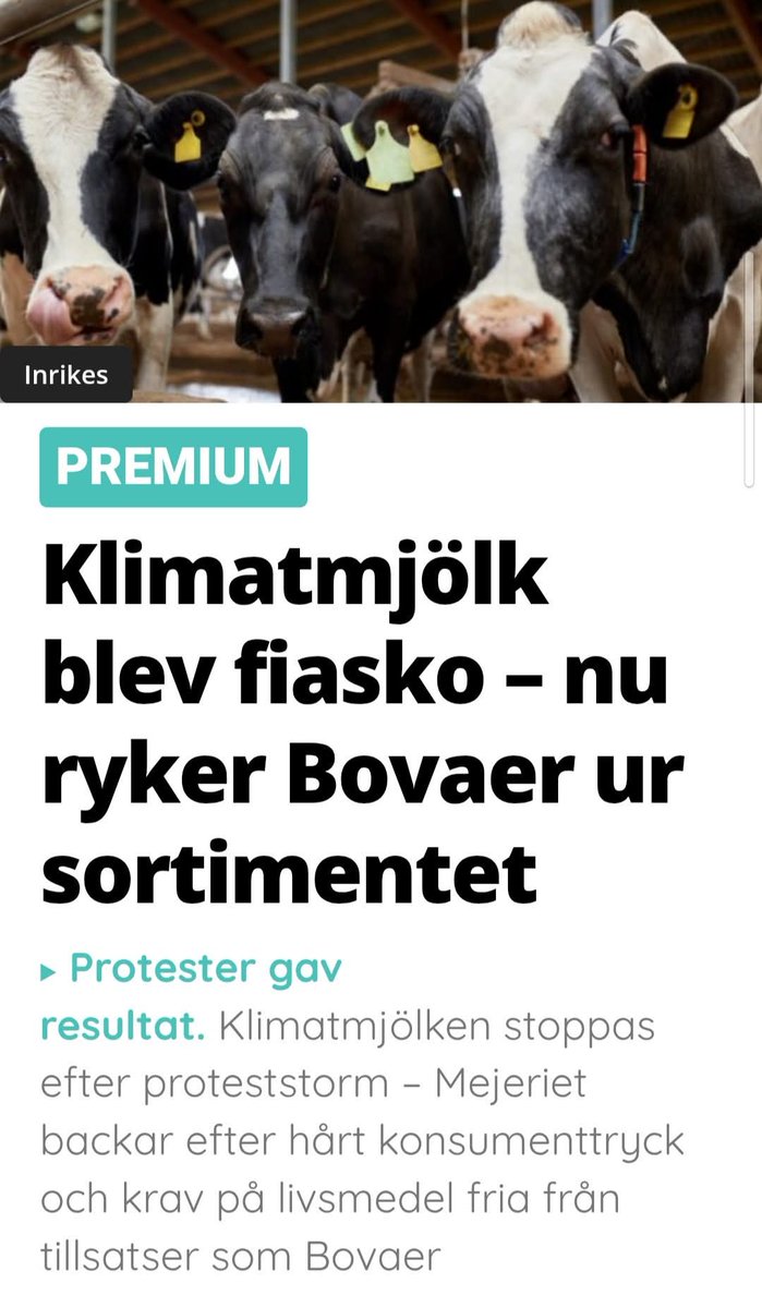 Natalie Norea Burea (@natalieburea) on Twitter photo 