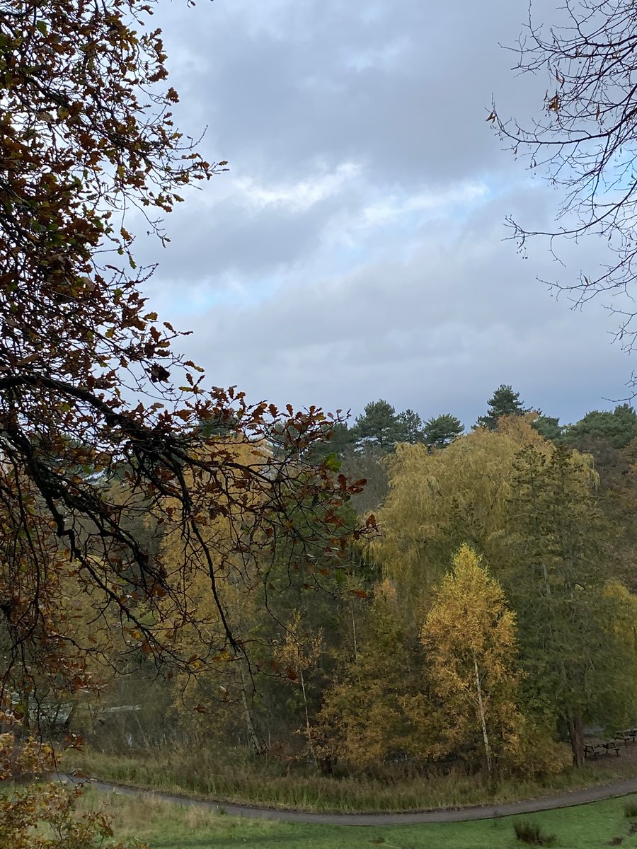 Rural North West 👍 🌳 🍂