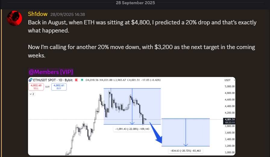 Sh1dow 🐺 tweet media