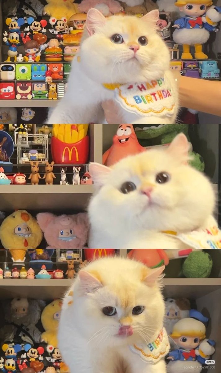 Happy birthday 🥳🎉