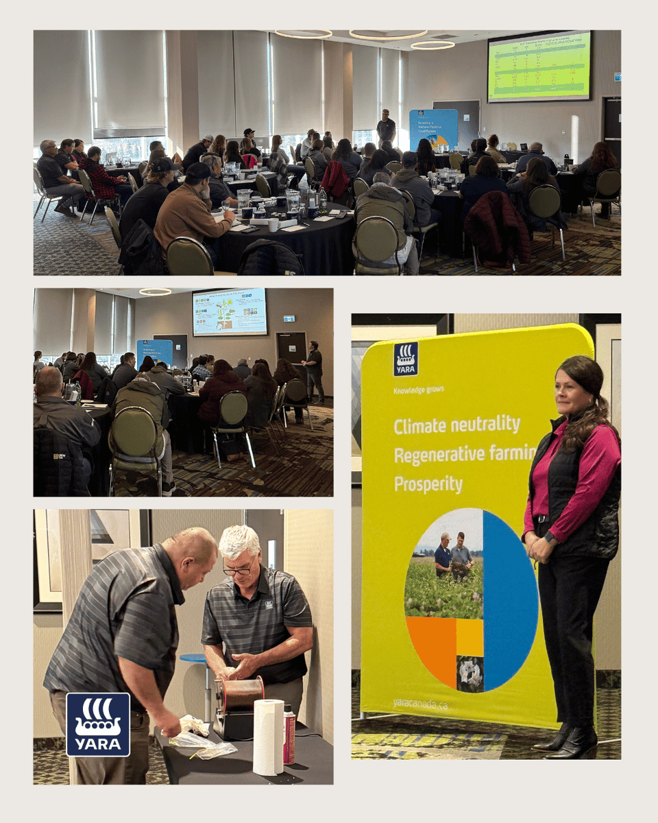 Last week, the Yara team in Western Canada had an opportunity to discuss crop nutrition with another engaged crowd. Thank you, Markus Braaten, Delaine Mandziak, Tanner Jorgensen, and Murray Clark, for representing Yara at a knowledge-sharing meeting!