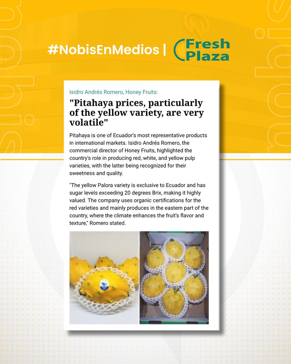 #NobisEnMedios 📝 | Compartimos con ustedes la entrevista realizada por <a href="/FreshPlaza_es/">FreshPlaza ES</a> a Isidro Andrés Romero, Director Comercial de Honey Fruits, una empresa Nobis, donde se destaca el liderazgo de Ecuador en la producción de pitahaya, especialmente de la variedad amarilla