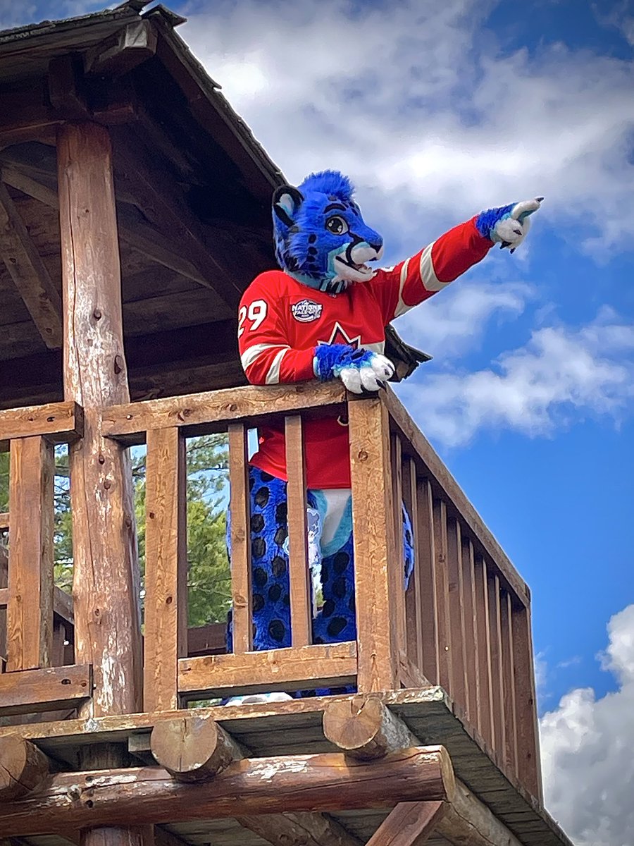 Subzy 🇨🇦 tweet media