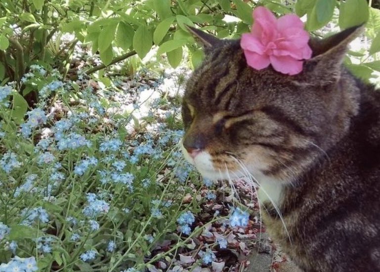 prtygal777's tweet image. We gon be ok twin