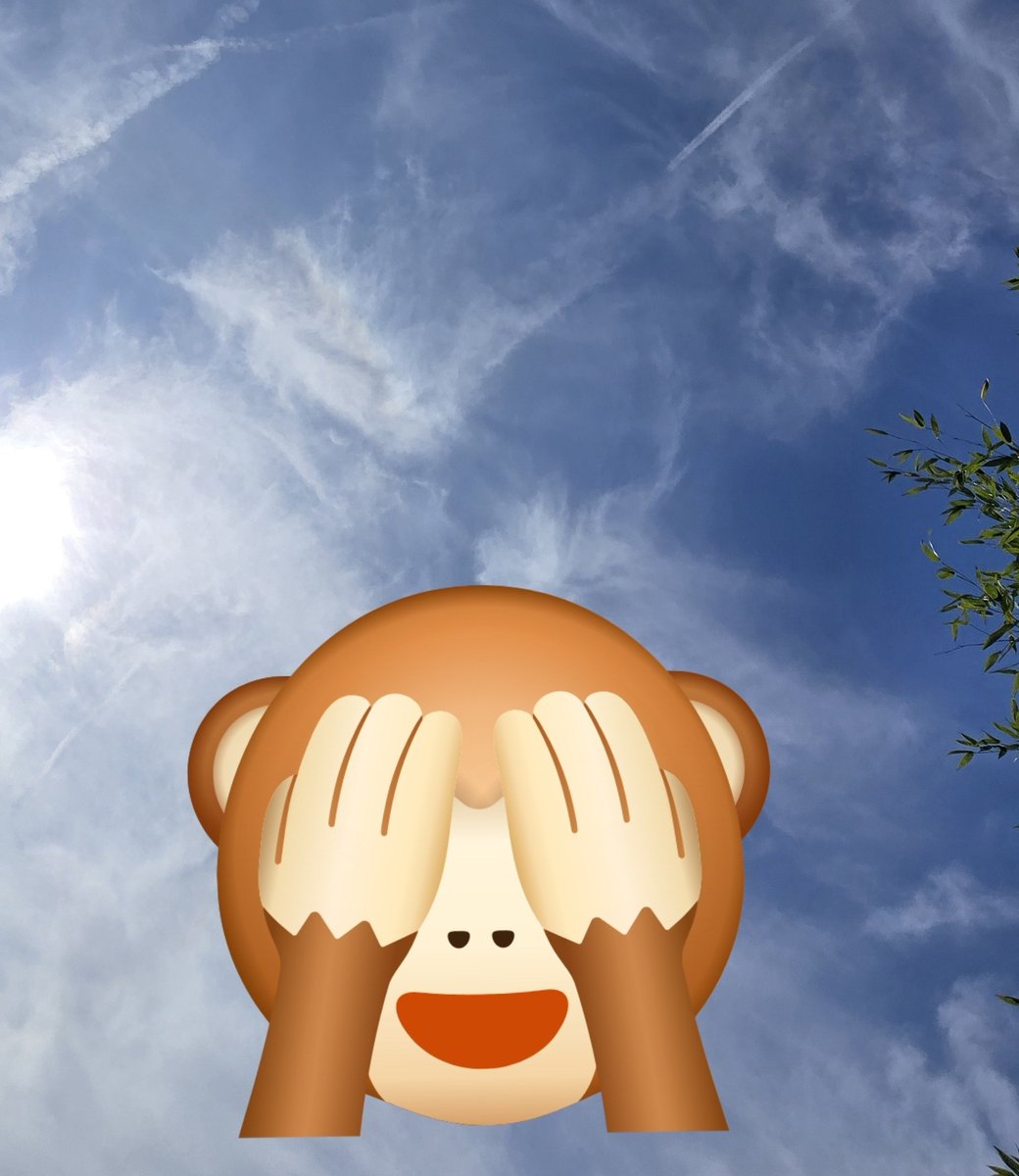 Demo2020cracy's tweet image. There&apos;s an issue that people suffer from thats more common than the flu. 
Geoengineering blindness.
It&apos;s where your eyes and thinking mind are disconnected from reality, and you won&apos;t even discuss the subject. 🙈🙉🙊