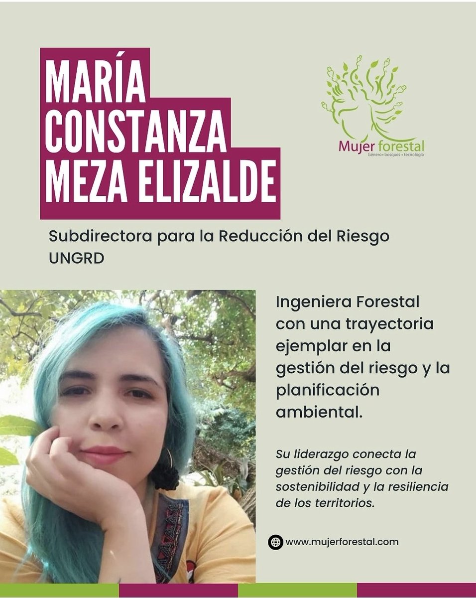 Asociación Colombiana de Ingenieros Forestales tweet media