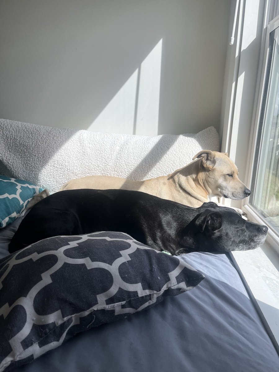 Scott Carpenter tweet media