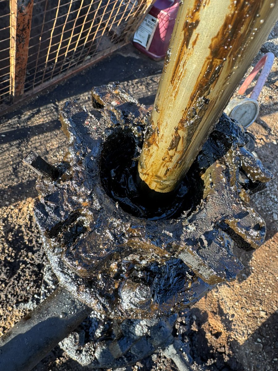 Marshall Hall tweet media