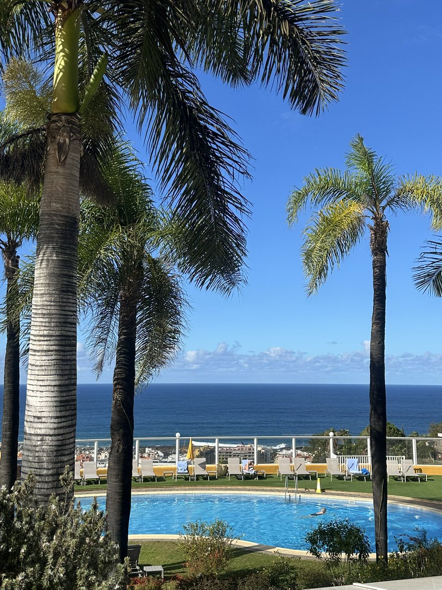 Noviembre en el Puerto de la Cruz ☀️