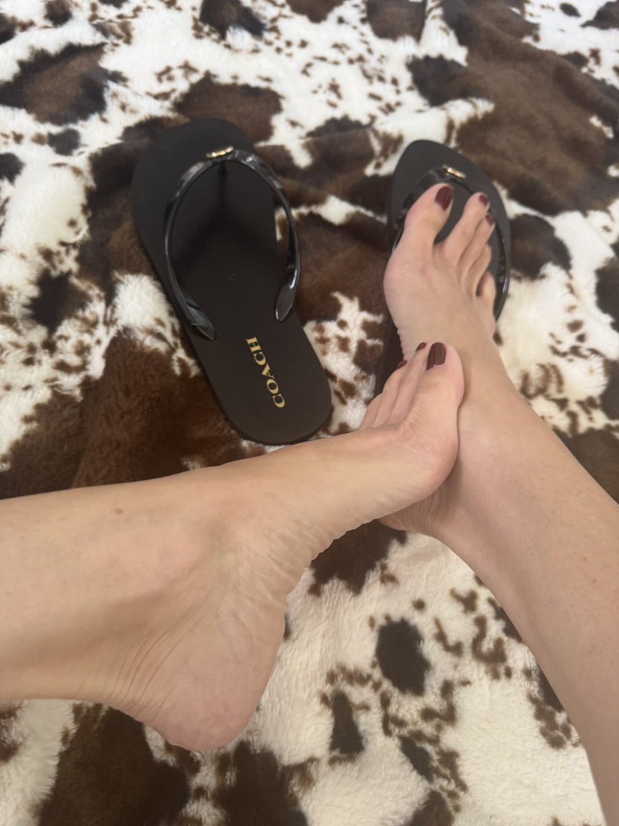 You wish, bitch. I don’t chase. I choose. Then I crush.