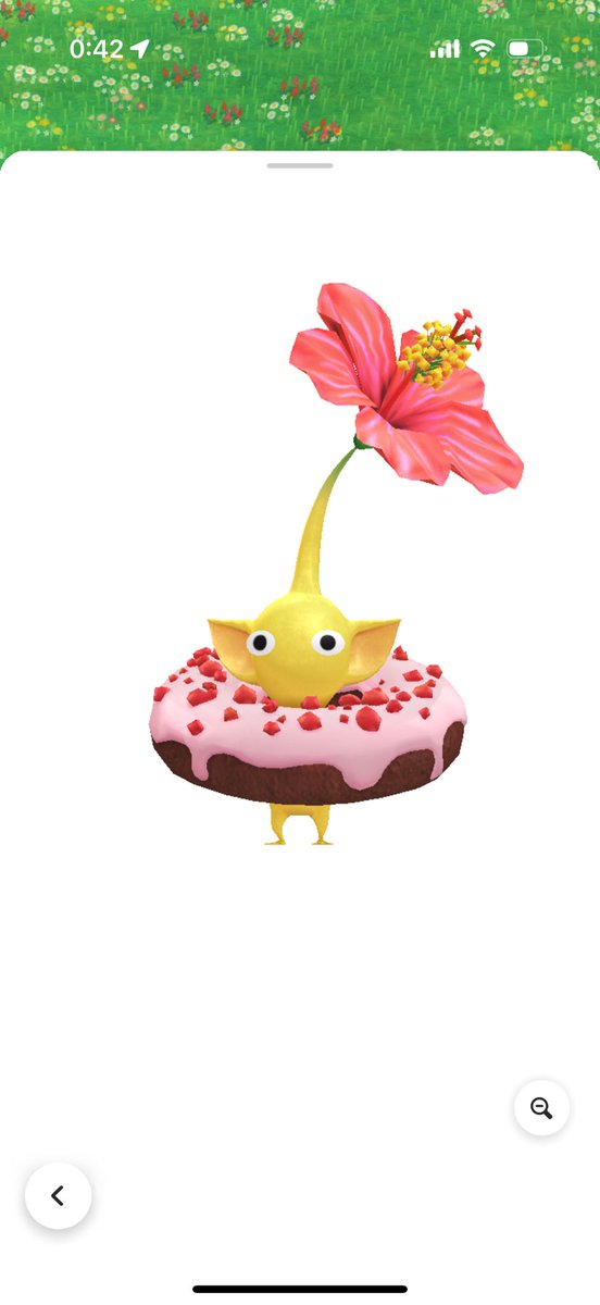 tanaka_splat1's tweet photo. 好きな花はハイビスカス🌺 https://t.co/h48bWiu5Ep