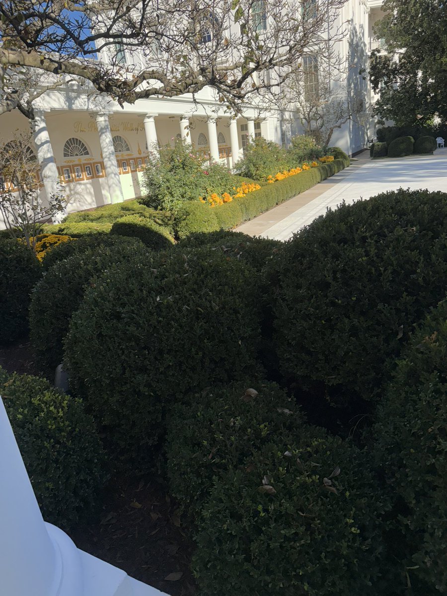 Wasn’t it Trump himself who’s been talking about 10 year prison sentences for people who vandalize historical monuments?