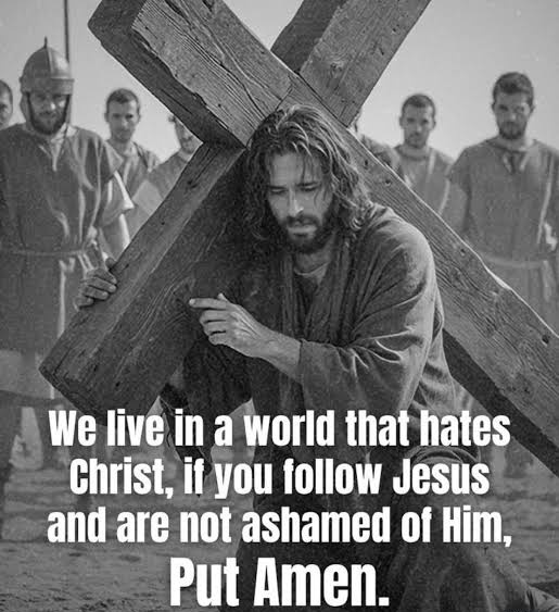 RosarySon tweet media