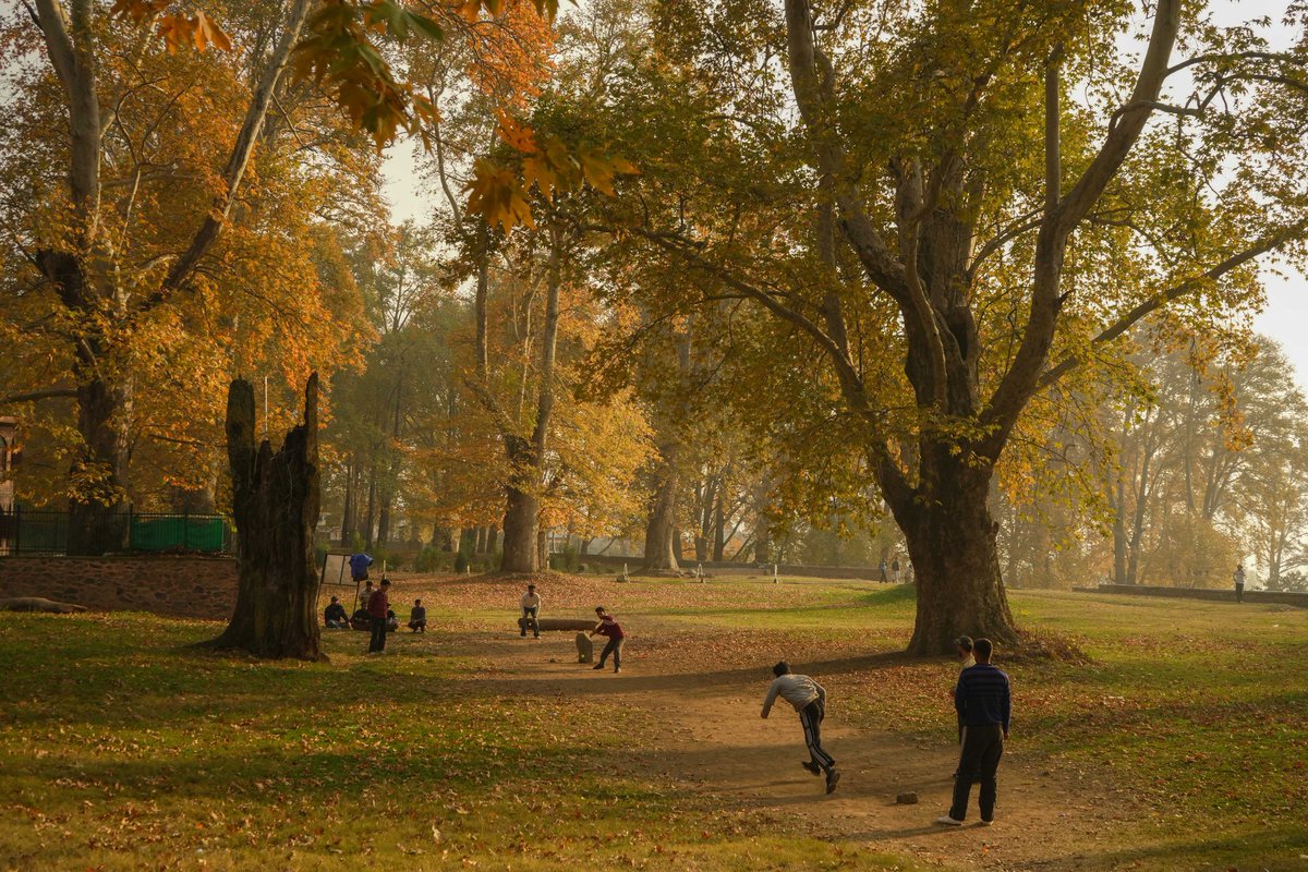 Kashmiris play cricket under Chinar trees inside a Mughal garden during an autumn day in Srinagar, Jammu and Kashmir, on November 07 2025. 
Photo:<a href="/Sameerhussain95/">Sameer Hussain</a>