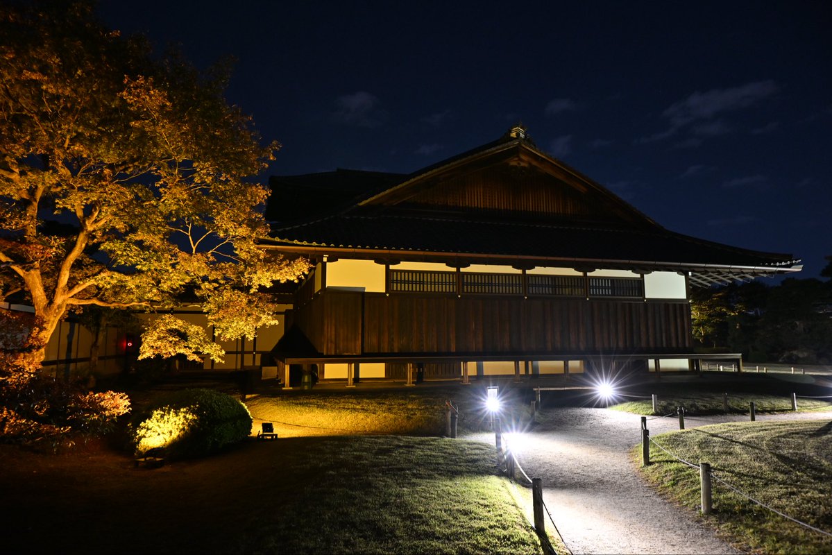 SpringCamellia's tweet image. Nikon ZR
NIKKOR Z 24-120mm f/4 S
CineBias＿RED

二条城

#カメラ好きな人と繋がりたい
#写真好きな人と繋がりたい
#写真初心者
#snapshot
#Nikon