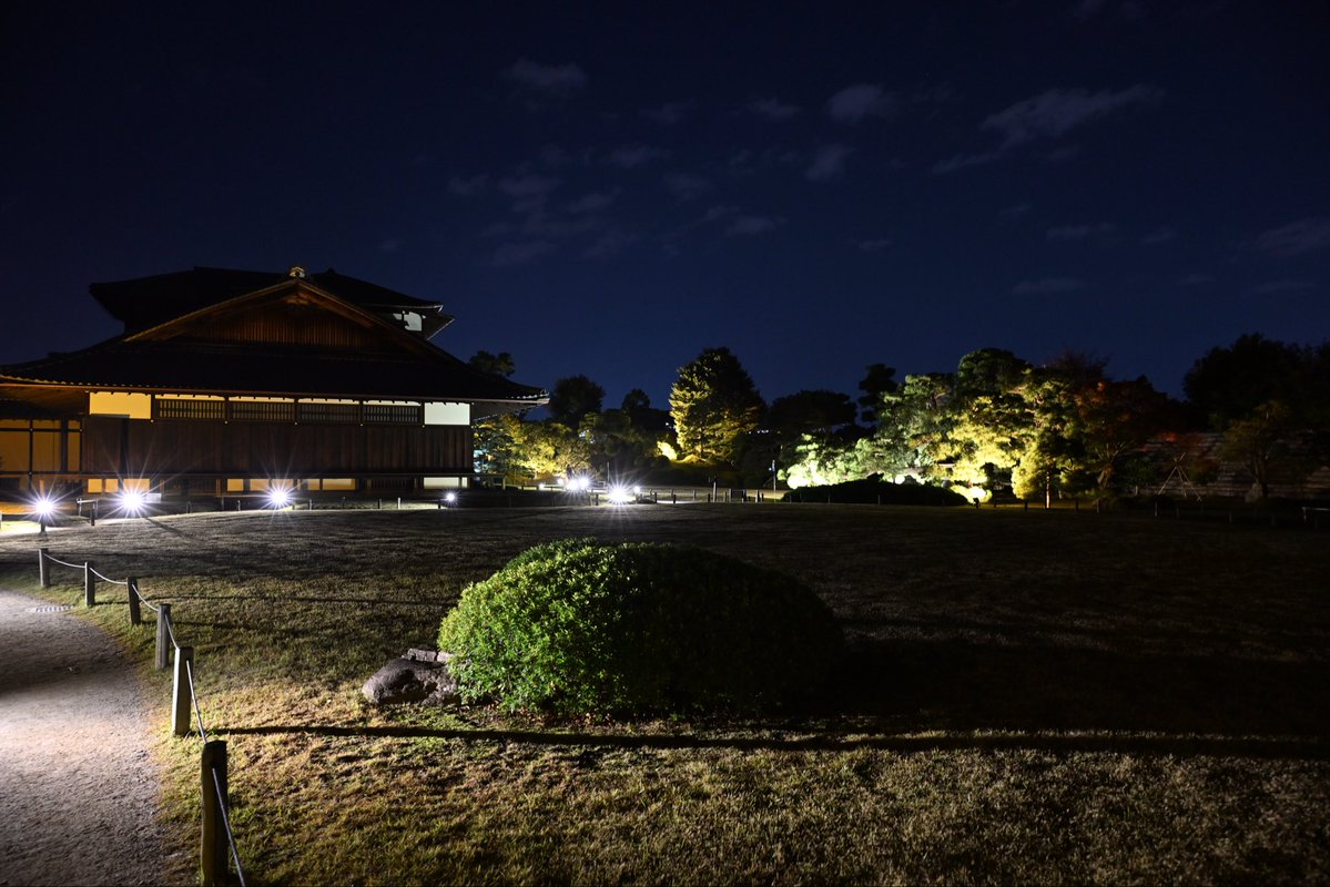 SpringCamellia's tweet image. Nikon ZR
NIKKOR Z 24-120mm f/4 S
CineBias＿RED

二条城

#カメラ好きな人と繋がりたい
#写真好きな人と繋がりたい
#写真初心者
#snapshot
#Nikon