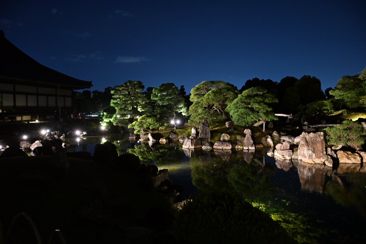 SpringCamellia's tweet image. Nikon ZR
NIKKOR Z 24-120mm f/4 S
CineBias＿RED

二条城

#カメラ好きな人と繋がりたい
#写真好きな人と繋がりたい
#写真初心者
#snapshot
#Nikon