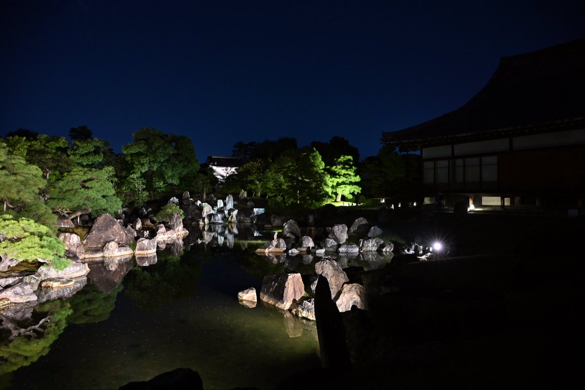 SpringCamellia's tweet image. Nikon ZR
NIKKOR Z 24-120mm f/4 S
CineBias＿RED

二条城

#カメラ好きな人と繋がりたい
#写真好きな人と繋がりたい
#写真初心者
#snapshot
#Nikon